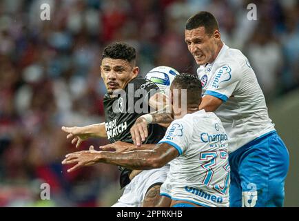 BA - SALVADOR - 04/24/2023 - BRASILEIRO A 2023, BAHIA X BOTAFOGO - Tiquinho-Spieler von Botafogo während eines Spiels gegen Bahia im Arena Fonte Nova Stadion für die BRAZILEIRO A 2023 Meisterschaft. Foto: Jhony Pinho/AGIF/Sipa USA Stockfoto