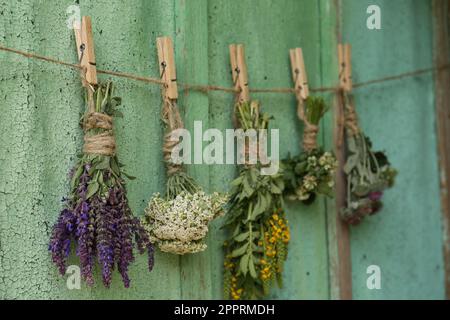 Schornsteine verschiedener, schöner, getrockneter Blumen hängen an einem Seil nahe einer alten Holzwand Stockfoto