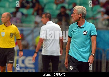 BA - SALVADOR - 04/24/2023 - BRASILEIRO A 2023, BAHIA X BOTAFOGO - Luis Castro, Trainer von Botafogo während eines Spiels gegen Bahia im Stadion Arena Fonte Nova für DIE BRASILIANISCHE A 2023 Meisterschaft. Foto: Walmir Cirne/AGIF/Sipa USA Stockfoto