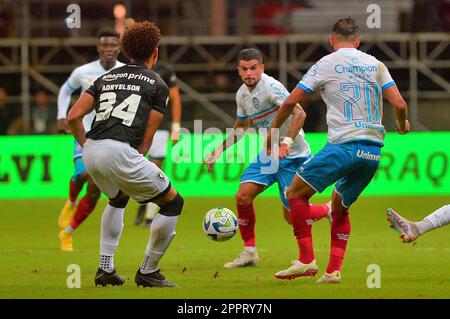 BA - SALVADOR - 04/24/2023 - BRASILEIRO A 2023, BAHIA X BOTAFOGO - Adryelson-Spieler von Botafogo während eines Spiels gegen Bahia im Stadion Arena Fonte Nova für DIE BRASILIANISCHE A 2023-Meisterschaft. Foto: Walmir Cirne/AGIF/Sipa USA Stockfoto