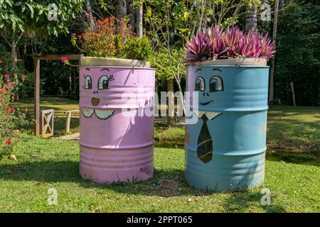 Einzigartige dekorierte Pflanzentöpfe aus Stahlfässern und farbenfroh mit lustigen Gesichtern in einem Garten, Amazonien, San Jose do Rio Claro, Mato Grosso Stockfoto