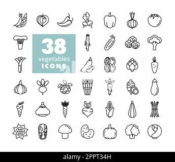 Gemüse umgibt isolierte Vektorsymbole Stock Vektor
