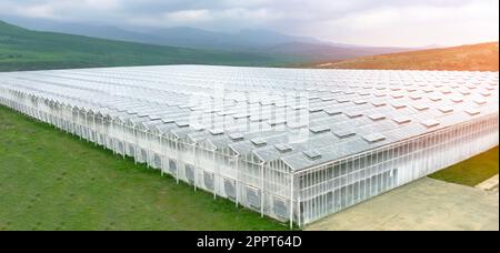 Luftaufnahme industrieller landwirtschaftlicher Gewächshäuser für den Anbau. Gewächshausbau. Lebensmittelindustrie mit riesigen Gebäuden. Drohnenansicht ein Stockfoto