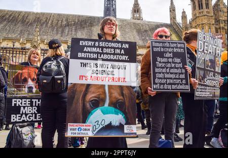 London, Großbritannien. 24. April 2023. Demonstranten halten am letzten Tag der Demonstrationen in Westminster Plakate, auf denen die Beendigung von Tierversuchen außerhalb der Parlamentsgebäude gefordert wird. Extinction Rebellion und mehrere andere Aktivistengruppen veranstalten einen letzten Protest, in dem ein Ende der fossilen Brennstoffe gefordert wird. Kredit: SOPA Images Limited/Alamy Live News Stockfoto