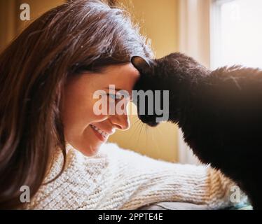 Es ist kein Zuhause ohne Pelzkinder. Eine attraktive junge Frau, die sich mit ihrer Katze zu Hause anfreundet. Stockfoto