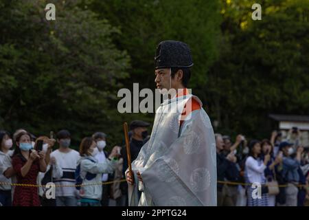 Shinto Priest verlässt die Siegeszeremonie nach dem Turnier in Yabusame. 65. Kamakura Festival am 16. April 2023 im Tsurugaoka-Hachimangu-Schrein in Kamakura, Japan. Kredit: Stanislav Kogiku/AFLO/Alamy Live News Stockfoto