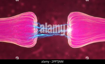 Bewegungssimulation der neuronalen und Synapseaktivität, bei der chemische Botenstoffe oder Neurotransmitter freigesetzt werden. Stockfoto