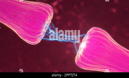 Bewegungssimulation der neuronalen und Synapseaktivität, bei der chemische Botenstoffe oder Neurotransmitter freigesetzt werden. Stockfoto