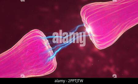 Bewegungssimulation der neuronalen und Synapseaktivität, bei der chemische Botenstoffe oder Neurotransmitter freigesetzt werden. Stockfoto