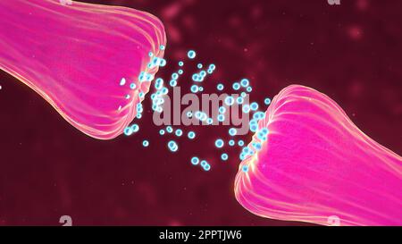 Bewegungssimulation der neuronalen und Synapseaktivität, bei der chemische Botenstoffe oder Neurotransmitter freigesetzt werden. Stockfoto