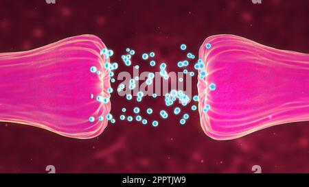 Bewegungssimulation der neuronalen und Synapseaktivität, bei der chemische Botenstoffe oder Neurotransmitter freigesetzt werden. Stockfoto