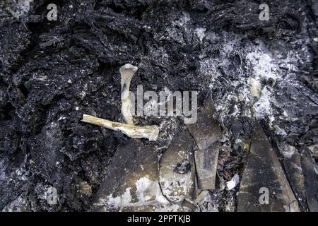 Details des alten Krematoriums mit Überresten menschlicher Knochen, Friedhof Stockfoto