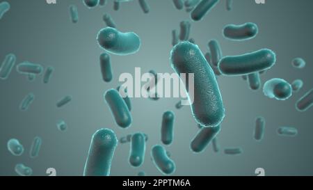 Salmonella-Bakterien. S. typhi, S. typhimurium und andere Salmonellen, stäbchenförmige Bakterien, Erreger von Typhus enterica und lebensmitteltoxische Infektiden Stockfoto