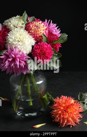 Wunderschöne Dahlienblumen in Vase auf dem Tisch vor schwarzem Hintergrund Stockfoto