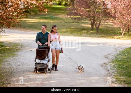 Eine junge Familie macht an einem sonnigen Sommertag einen gemütlichen Spaziergang durch den Park. Das Paar schiebt sein Baby in einem Kinderwagen, während sein pelziger Freund neben ihm treibt Stockfoto