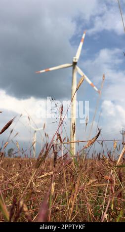 Windkraftanlagen, die saubere erneuerbare Energie erzeugen Stockfoto