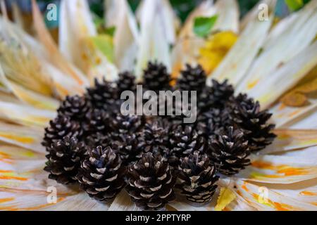 Dekorative Sonnenblumen aus Maiskegeln und Blättern im Nahbereich Stockfoto