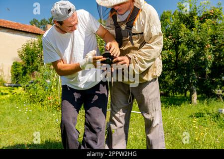 Ein Techniker mit verbandelten Handverletzungen repariert den Trimmer, stellt die Kopfspule des Trimmers ein und hilft seinem Freund im Schutzanzug beim Rasenmähen Stockfoto