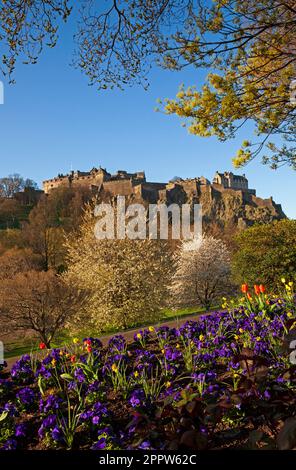 Edinburgh Cirty Centre, Schottland, Großbritannien. April 2023. Die Morgensonne beleuchtet die Blumendekorationen rund um die Princes Street. Im Bild: Farbenfrohe Beetpflanzen in den Princes Street Gardens, die von der Stadtparks-Abteilung gepflanzt wurden, bilden zusammen mit den Bäumen im Hintergrund einen Rahmen für Edinburgh Castle. Stockfoto