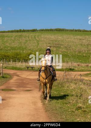 Palomino-Pferd und -Reiter auf einer Rennstrecke im St. Aidan's Park, Leeds. Stockfoto