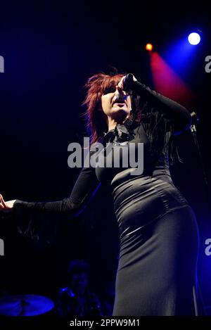 Chrissie Amphlett of the Divinyls tritt auf der Homebake auf, dem alljährlichen Musikfestival in Australien für „hausgemachte“ Bands. The Domain, Sydney, Australien. 08.12.07. Stockfoto