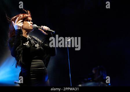 Chrissie Amphlett of the Divinyls tritt auf der Homebake auf, dem alljährlichen Musikfestival in Australien für „hausgemachte“ Bands. The Domain, Sydney, Australien. 08.12.07. Stockfoto