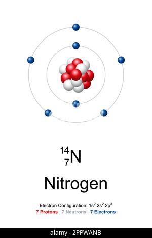 Stickstoff, Atommodell von Stickstoff-14 mit 7 Protonen, 7 Neutronen und 7 Elektronen Stock Vektor