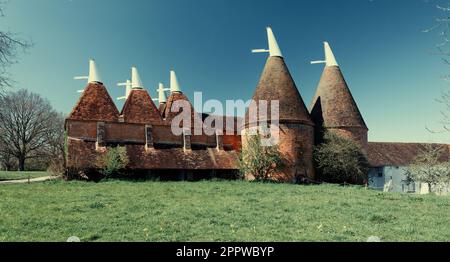 Oast Houses auf einer Hopfenfarm in Kent, England, Großbritannien Stockfoto