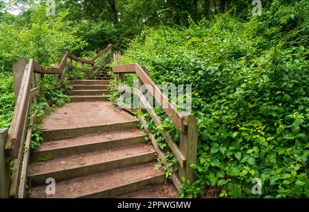 Indiana Dunes National Park am Lake Michigan Stockfoto