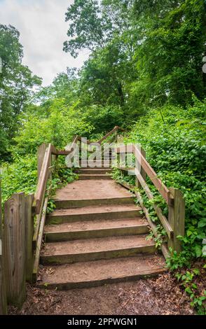 Indiana Dunes National Park am Lake Michigan Stockfoto