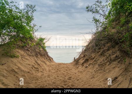 Indiana Dunes National Park am Lake Michigan Stockfoto