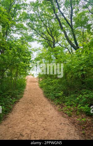 Indiana Dunes National Park am Lake Michigan Stockfoto