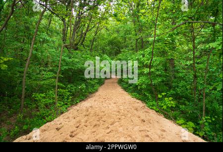 Indiana Dunes National Park am Lake Michigan Stockfoto