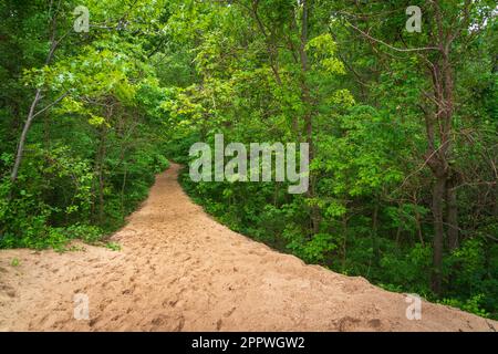 Indiana Dunes National Park am Lake Michigan Stockfoto