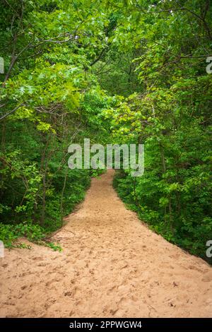 Indiana Dunes National Park am Lake Michigan Stockfoto