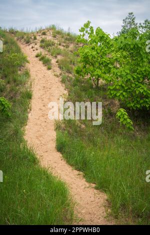 Indiana Dunes National Park am Lake Michigan Stockfoto