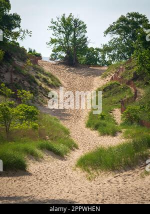 Indiana Dunes National Park am Lake Michigan Stockfoto