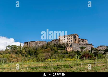 Blick auf das historische Zentrum von Bomarzo, Viterbo, Italien, vor dem blauen Himmel Stockfoto