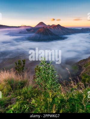 Mt Bromo bei Sonnenaufgang, Indonesien Stockfoto
