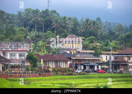 Jatiluwih, Bali, Indonesien - 24. April 2023: Blick auf Jatiluwih, Dorf in Tabanan Regency, Bali, Indonesien. Stockfoto