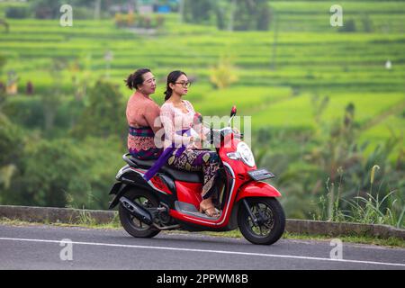 Jatiluwih, Bali, Indonesien - 24. April 2023: Menschen, die einen Roller in Jatiluwih, Bali, Indonesien fahren. Stockfoto