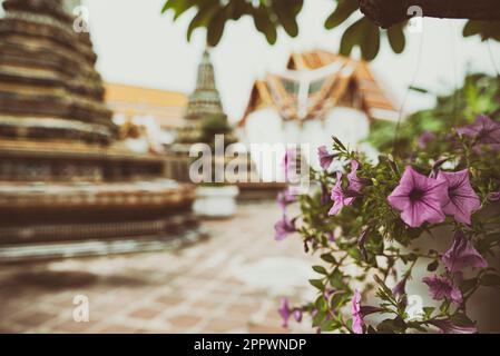 Tempel Wat Pho, Bangkok, Thailand Stockfoto