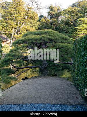 Die Kaiservilla Katsura wurde im 17. Jahrhundert als Fürstentum erbaut und ist eines der besten Beispiele japanischer Architektur und Gartendesign. Stockfoto