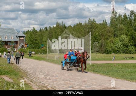 Mandrogi RUSSLAND - 8. JUNI 2015: Karelien-Region, bärtiger Mann in traditioneller Kleidung in einem Wagen mit Touristen. Stockfoto