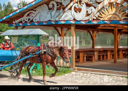 Mandrogi RUSSLAND - 8. JUNI 2015: Karelien-Region, bärtiger Mann in traditioneller Kleidung in einem Wagen mit Touristen Stockfoto