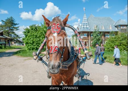 MANDROGI, RUSSLAND - 8. JUNI 2015: Ein Bay Horse für den Transport von Touristen durch das Dorf. Karelien, ein neues Resort in traditionellem Stil in der Stockfoto