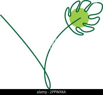 Monstera Anlage bilden Buchstaben Symbol Design Illustration Stock Vektor