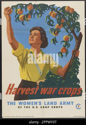 Erntekrieg erntet die Landarmee der Frauen der USA Crop Corps von Morley, Hubert Künstler, Publikation 1945 Stockfoto