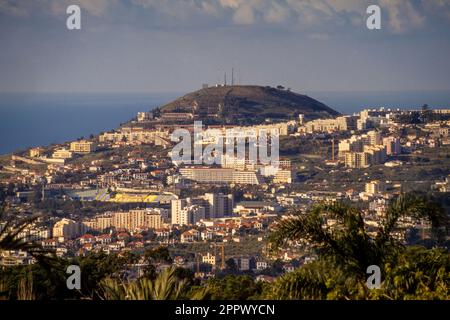 Erhöhte Aussicht auf Funchal mit seinen weißen Apartments und den Atlantischen Ozean in der Ferne. Maderia. Stockfoto