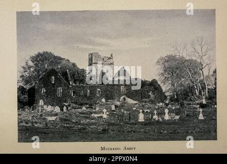 Muckross Abbey Foto aus dem Buch " The Isle of the Shamrock " von Clifton Johnson, 1865-1940 Publisher New 1901 York, Macmillan; London, Macmillan [ Muckross Abbey (Irish: Mainistir Locha Léin und Mainistir Mhucrois) ist eine der wichtigsten kirchlichen Stätten im Killarney-Nationalpark, County Kerry, Irland. Es wurde 1448 als Franziskanerfriar für die Observantine Franziskaner von Donal McCarthy Mor gegründet. Stockfoto